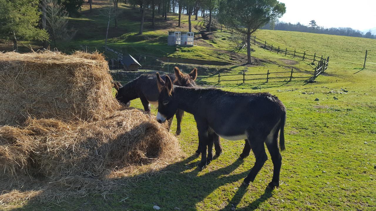 B&B Podere Montese Villafranca in Lunigiana Exterior photo