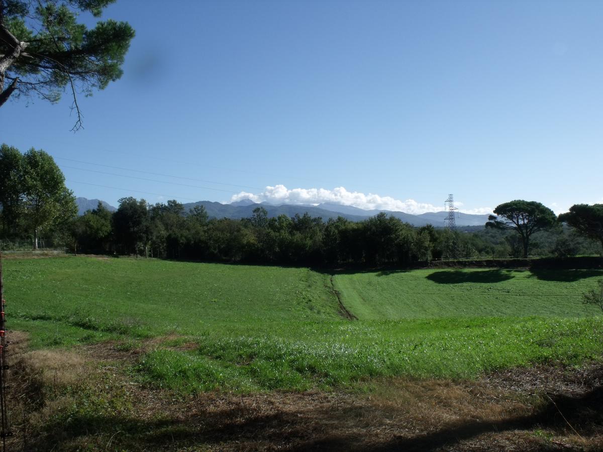 B&B Podere Montese Villafranca in Lunigiana Exterior photo